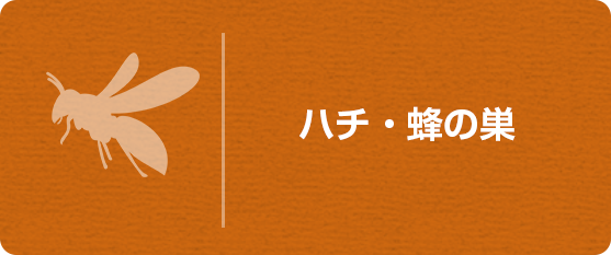 ハチ・蜂の巣