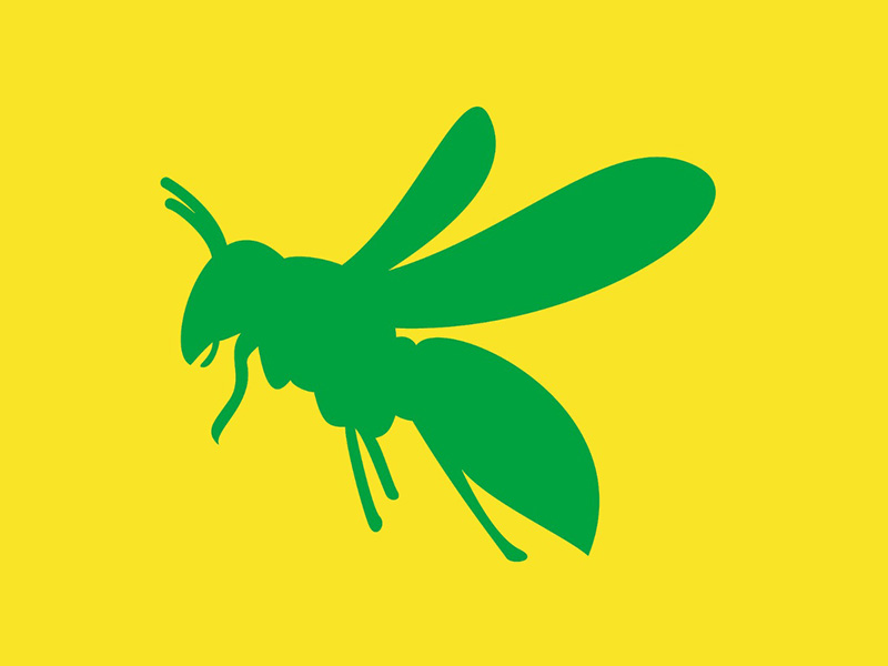 ハチ・蜂の巣駆除について